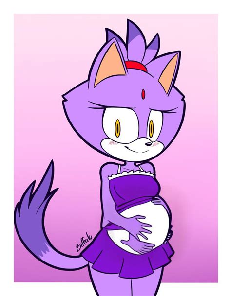 blaze the cat pregnant|silver the hedgehog and blaze cat.